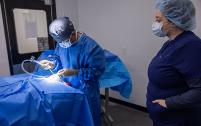 Doctor performing surgery on pet