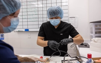 pain management through iv fluids
