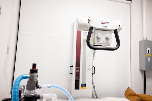 Equipment used for patients