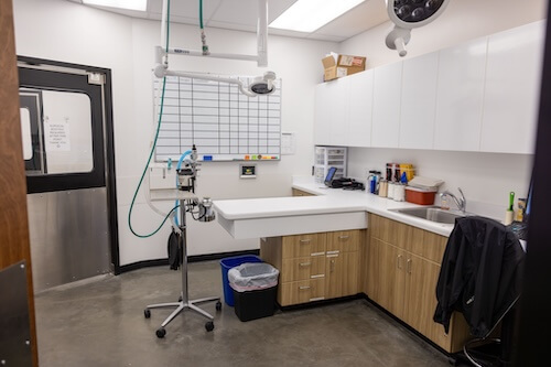 Vet clinic procedure area
