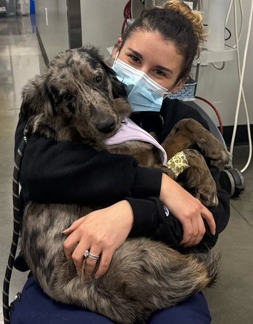 veterinary clinic staff with patient