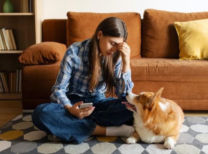 Why Phone-Based Pet Diagnosis Isn't Reliable