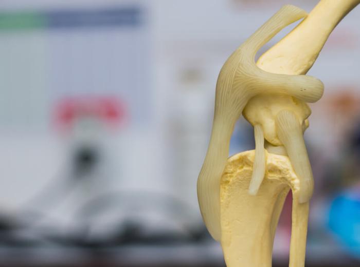 Understanding TPLO Surgery for Your Pet