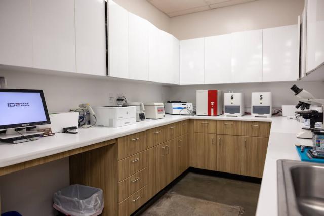 Lab and Diagnostic Services