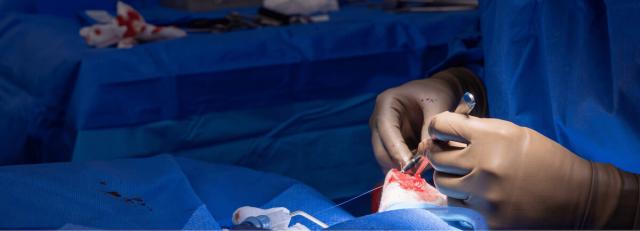 Soft Tissue Surgery
